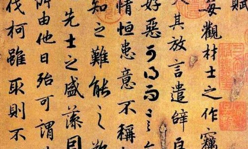 地锦草什么人不可吃-地锦草禁忌人群网 - 地锦草禁忌人群是什么,地锦草什么人不可吃