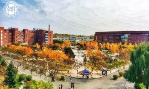地锦草能吃吗-地锦草禁忌人群网 - 地锦草禁忌人群是什么,地锦草什么人不可吃