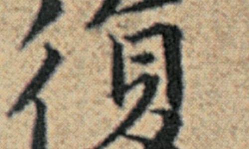 地锦草禁忌人群网 - 地锦草禁忌人群是什么,地锦草什么人不可吃